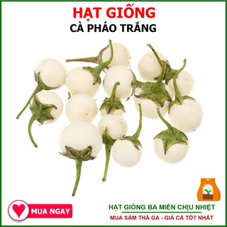 1G - Hạt Giống Cà Pháo Lai Tiểu Tuyết