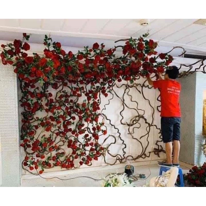 Dây rừng tự nhiên trang trí dercor quán cafe phim trường chụp ảnh