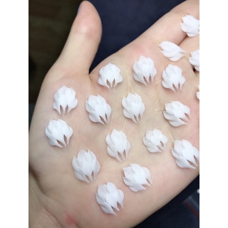 hoa bột nail- hoa nửa- hoa ẩn