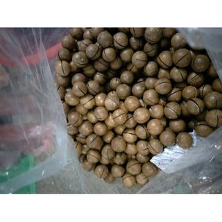 500gram Hạt Mắc Ca