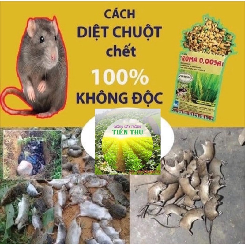 BẢ DIỆT CHUỘT SINH HỌC BROMA 1 Gói