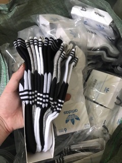 Tất ngắn cổ adidas