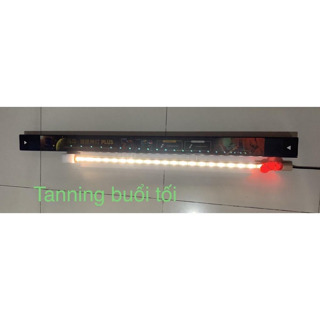 Đèn Led Mayin Super Color  - Super Color Plus  Cho Cá Rồng 92cm, 112cm, 142cm