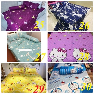 Bộ ga gối cotton poly