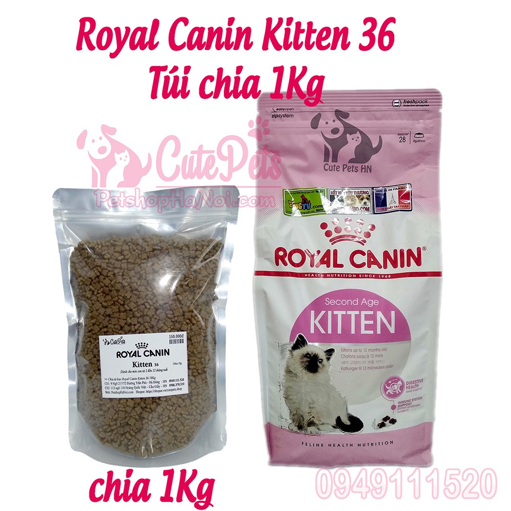 Thức ăn cho mèo con Royal Canin Kitten 36 1kg - CutePets Phụ kiện thú cưng Pet shop Hà Nội