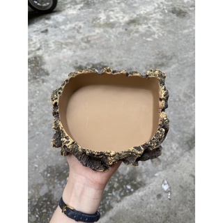 Máng ăn - Máng nước dành cho bò sát