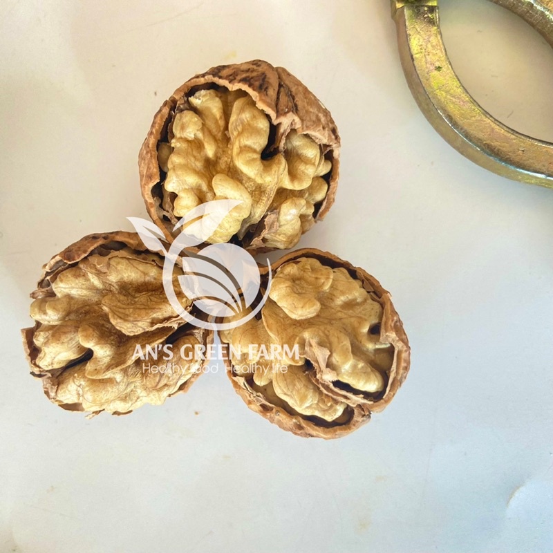 Nhân Óc Chó Nếp Hà Giang 500gr  Đã Tách Vỏ - An’s Green Farm