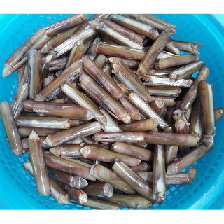 RUỘT ỐC MÓNG TAY LÀM SẠCH TẶNG NƯỚC CHẤM
