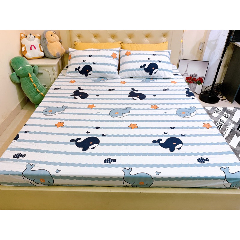 Ga Gối polly các mẫu KuTe