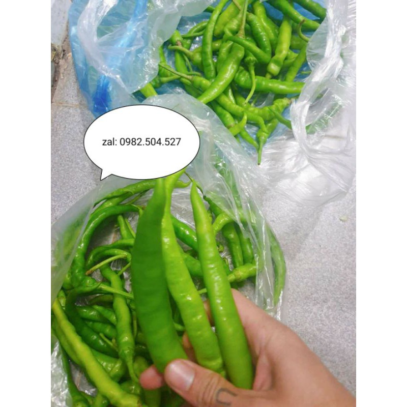 HẠT ỚT XANH QUÊ ĂN MỲ QUẢNG