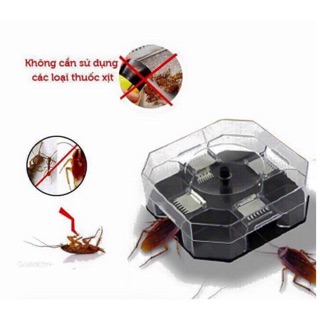 Combo 20 bộ bắt rán