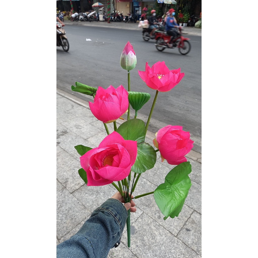 1 Bụi sen VN giả 50cm - Hoa giả - Hương Flower