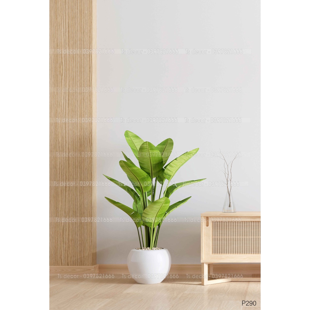 phông livestream màu trắng 3D 5D cao cấp