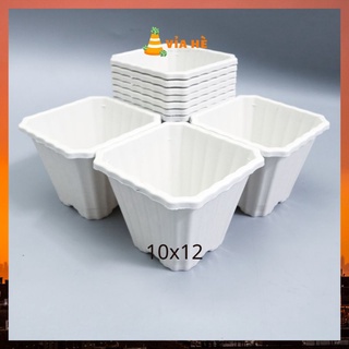Chậu nhựa vuông cứng màu trắng mini size nhỏ 12x10 trồng sen đá xương rồng dâu tây