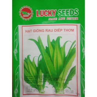 Hạt giống rau diếp thơm - 5gr