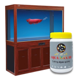 Men Diệt Tảo Hồ Cá AQUA MAX 3