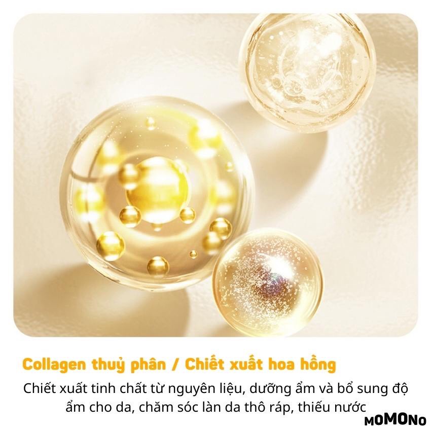 Kem Collagen dưỡng trắng dưỡng ẩm da mặt tinh chất Veze ECOBOTT