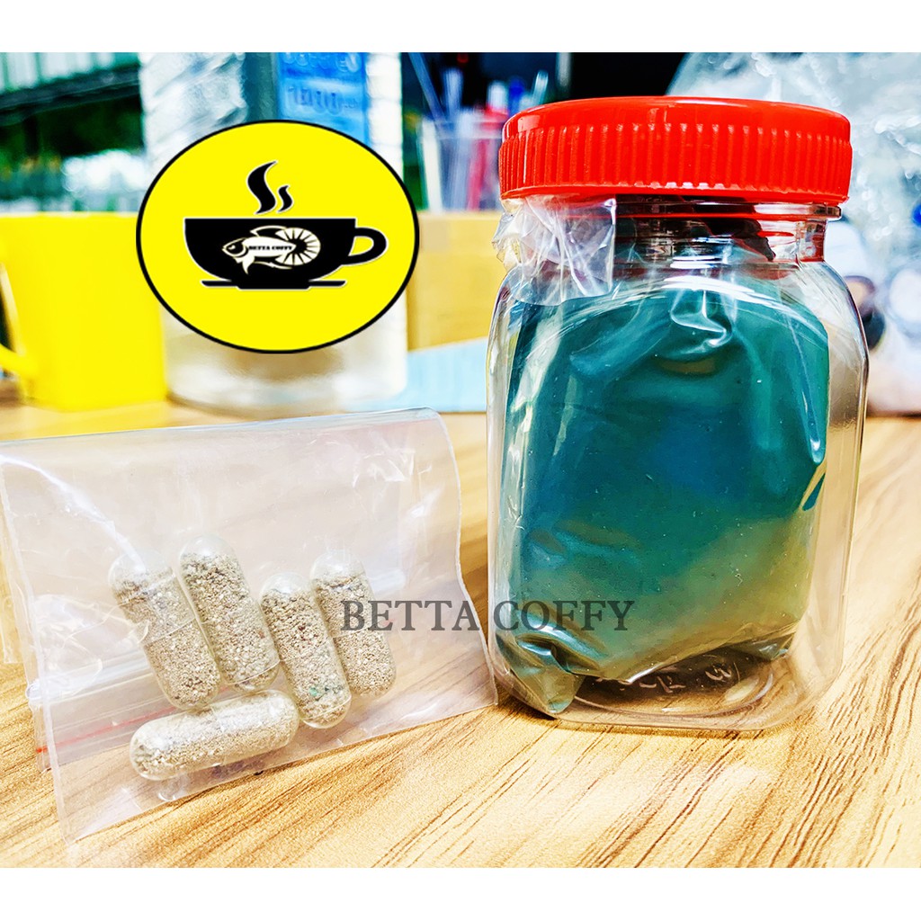 Tảo Bột Xanh - Thức ăn cho Artemia và cá con 🦐