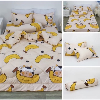 Bộ chăn hè ga gối cotton poly combo 5 món