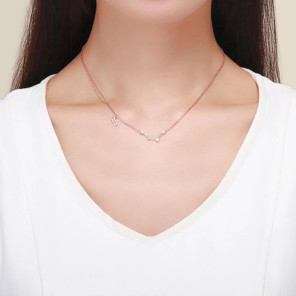 Vòng cổ Hợp Kim Bạc Mặt Hình 12 Cung Hoàng Đạo Đính Đá Pha Lê Thời Trang Cho Nữ