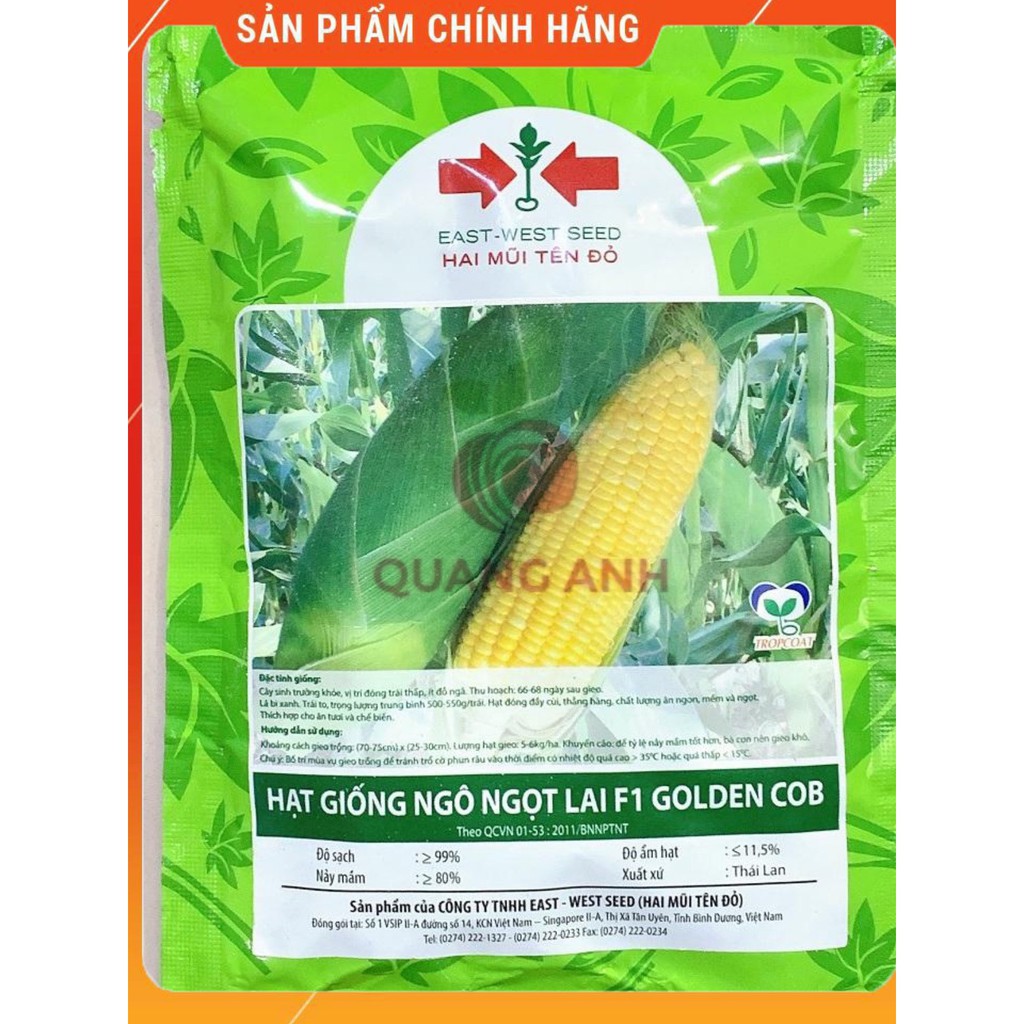 Hạt Giống Ngô Ngọt Lai F1 GOLDEN COB - Gói 50Gr