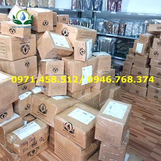 Sỉ Hoa Hòe  Mộc Sắc 500g