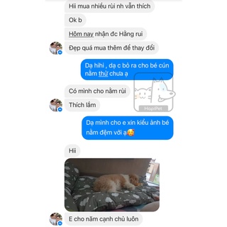 Đệm Topper cho cún Hapipet - Size Đại