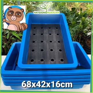Combo 6 chậu nhựa trồng rau kt 68x42x16cm màu đen/Xanh