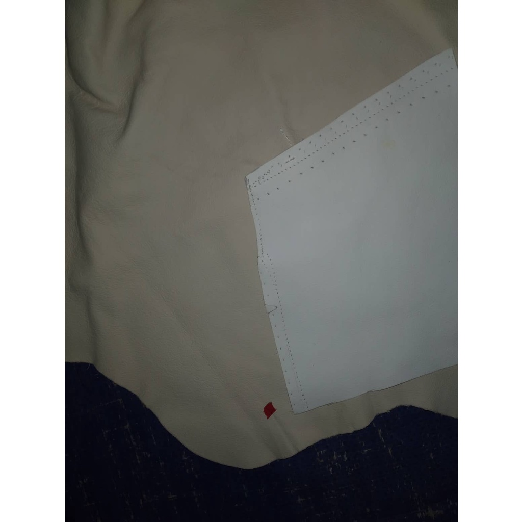 Da salon ý da bỏ thật