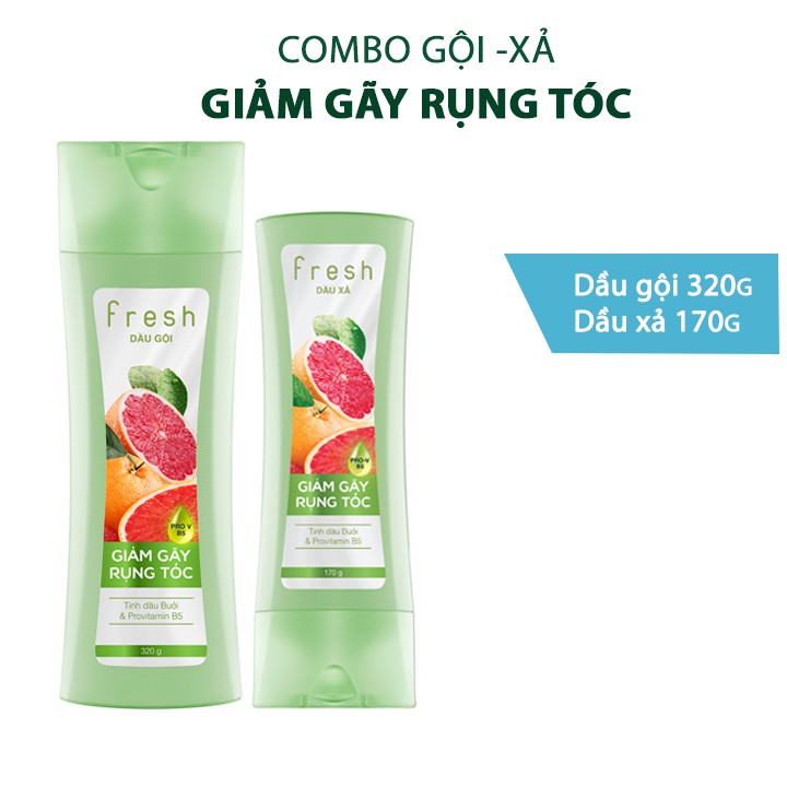 Combo Gội Xả Fresh Giảm Gãy Rụng Tóc 320g + 170g