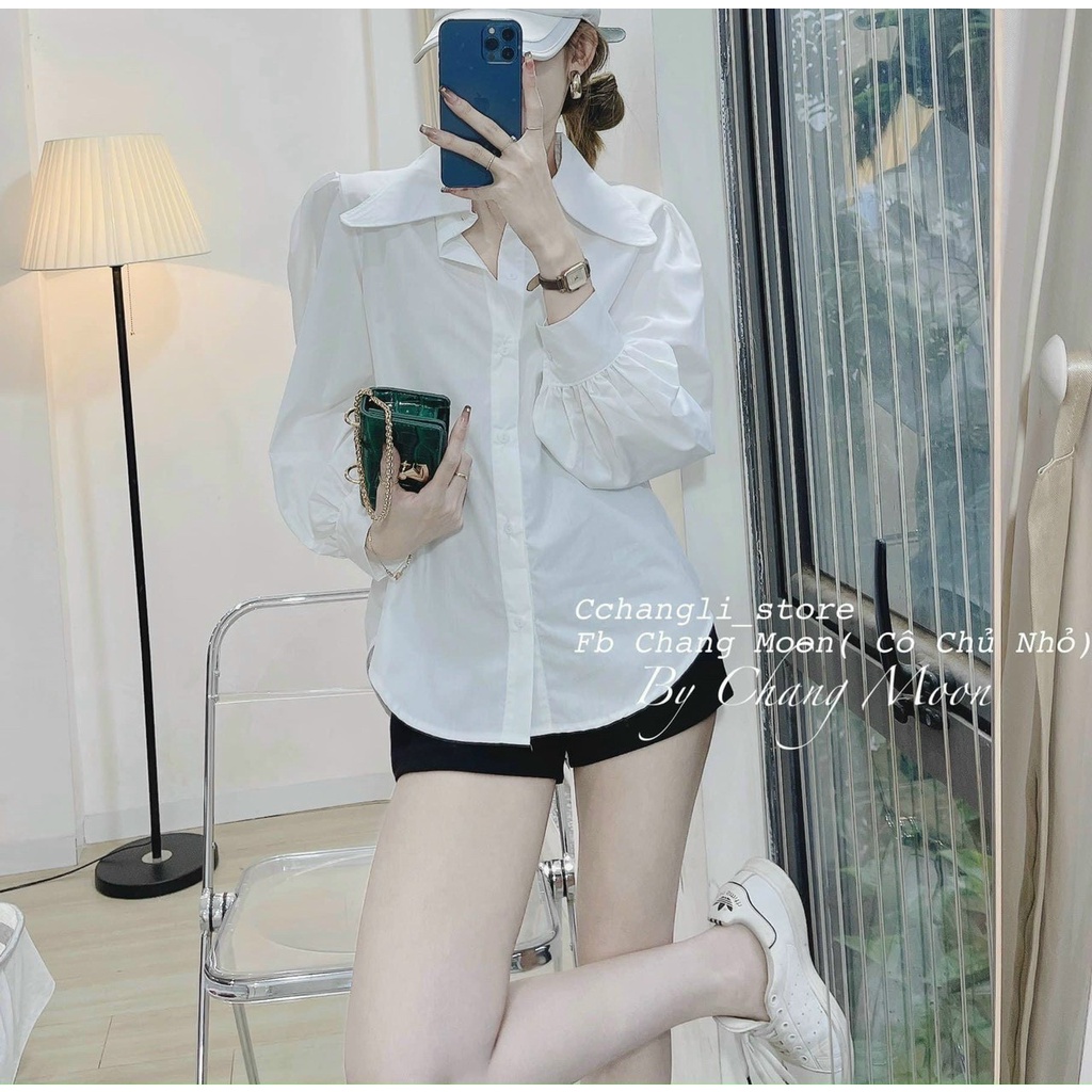 Áo Sơ Mi Voan Lụa Cổ Bẻ Gài Nút Hai Tay Dài Tiểu Thư TTSA1829