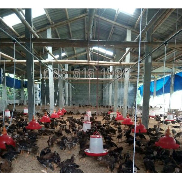 MÁNG ĂN CHỐNG BỚI CHO GÀ LOẠI TỪ 2 ĐẾN 7KG