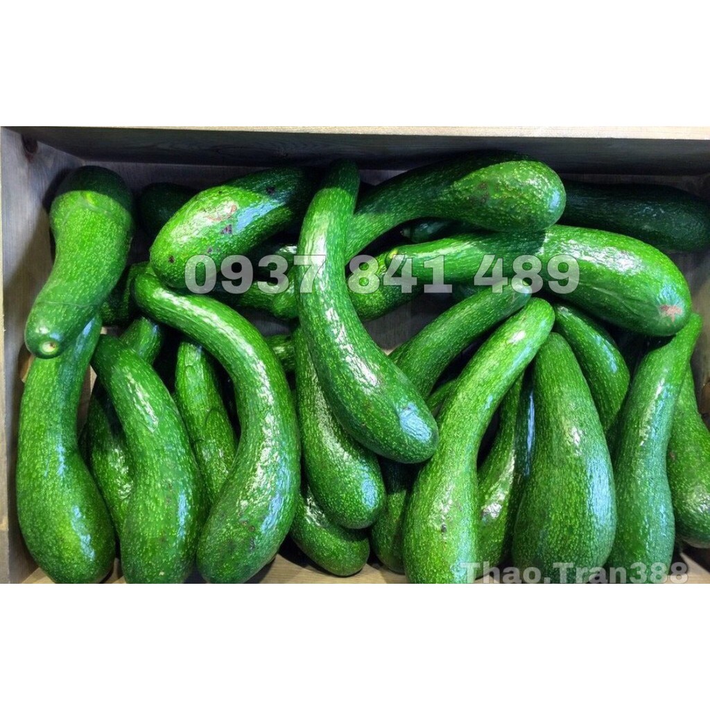 COMBO 3 KÝ BƠ 034 LÂM ĐỒNG - BƠ SÁP DẺO NHÀ TRỒNG - TIÊU CHUẨN VIETGAP [ GIAO HÀNG SIÊU TỐC HCM] | BigBuy360 - bigbuy360.vn