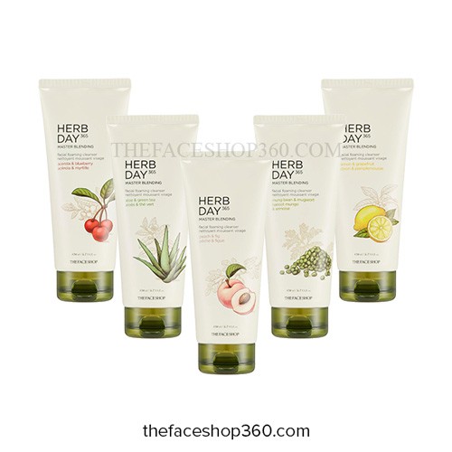 Sữa Rửa Mặt The Face Shop Herb Day 365 Cleansing Foam 170ml