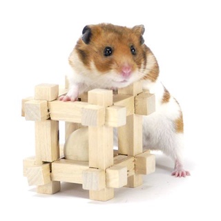 ĐỒ CHƠI GỖ CHO THÚ NHỎ HÌNH CUBE #466