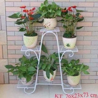Kệ 6 tầng đựng hoa