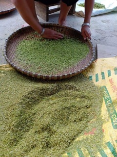 Cốm Tú Lệ - đặc sản Tây bắc