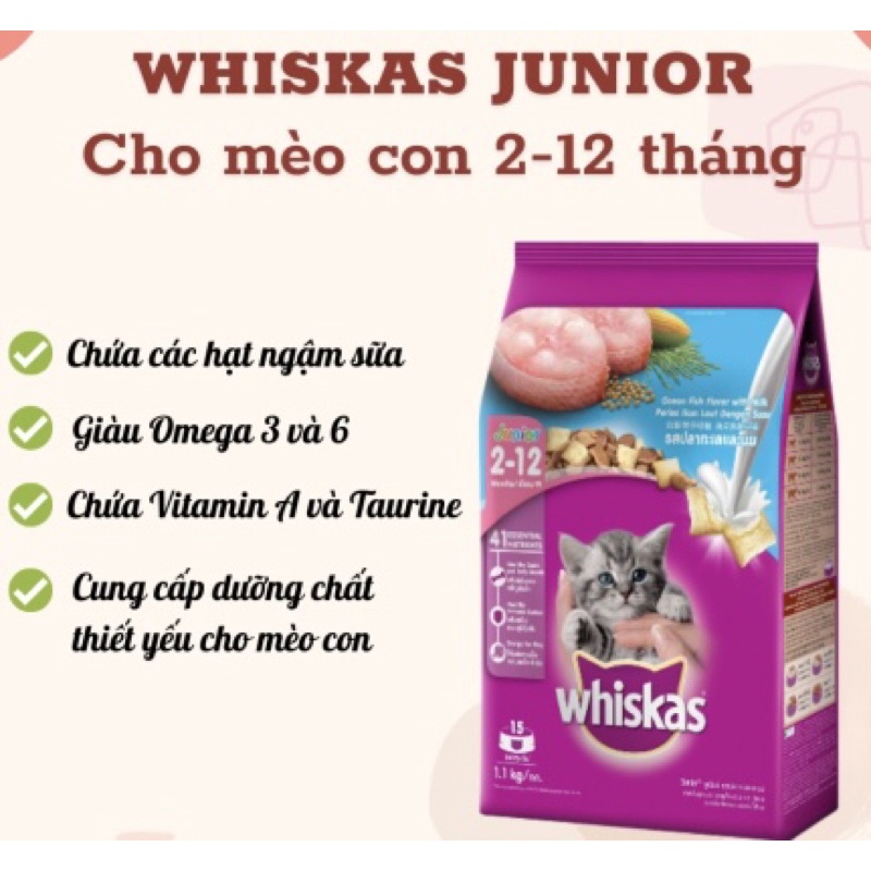 Thức Ăn Hạt Cho Mèo Con Whiskas - Xiuxiu Giang
