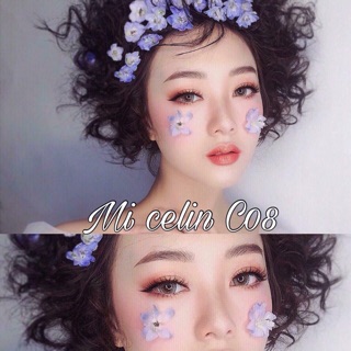 MI GIẢ LÔNG CHỒN CELIN