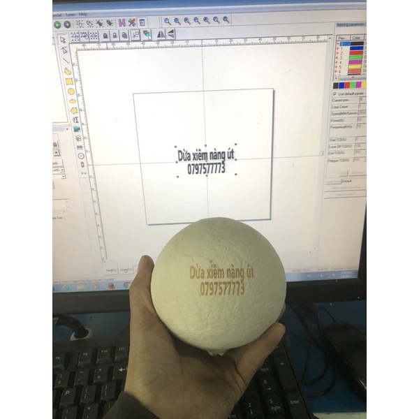 Dừa xiêm trọc  700g - 800g