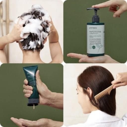 Dầu gội GIẢM RỤNG làm mát PRIMERA Greentea Biome Scalp Cooling Shampoo gói 3ml