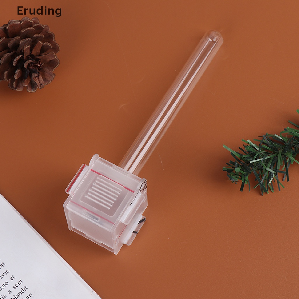 Tổ Kiến Mini Trong Suốt Có Ống Kính Cho Thú Cưng