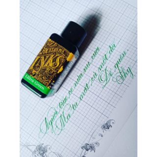 Mực Diamine 30ml
