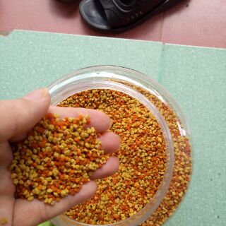 500g phấn hoa rừng hảo hạng