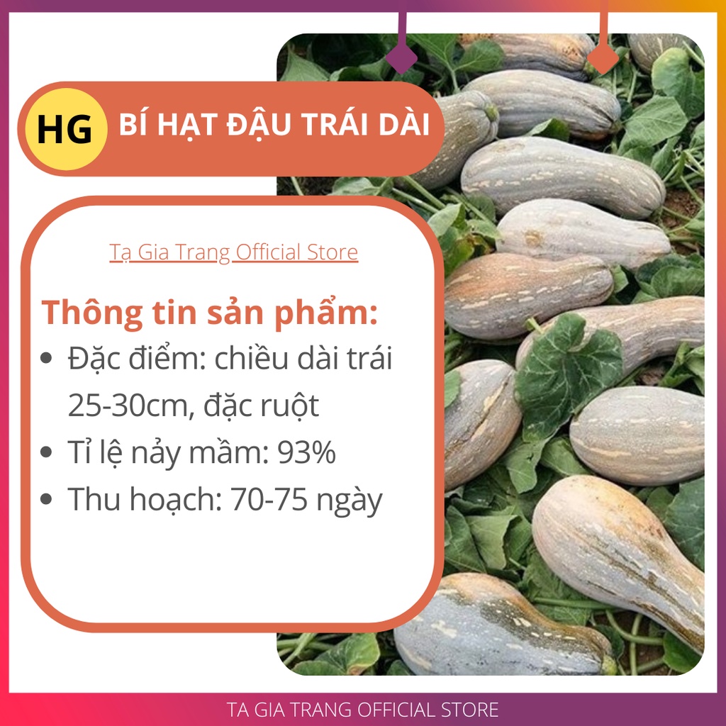 Hạt giống bí hạt đậu trái dài, ăn ngon - Gói 1g (9-10h) -  Shop hạt giống Tạ Gia Trang