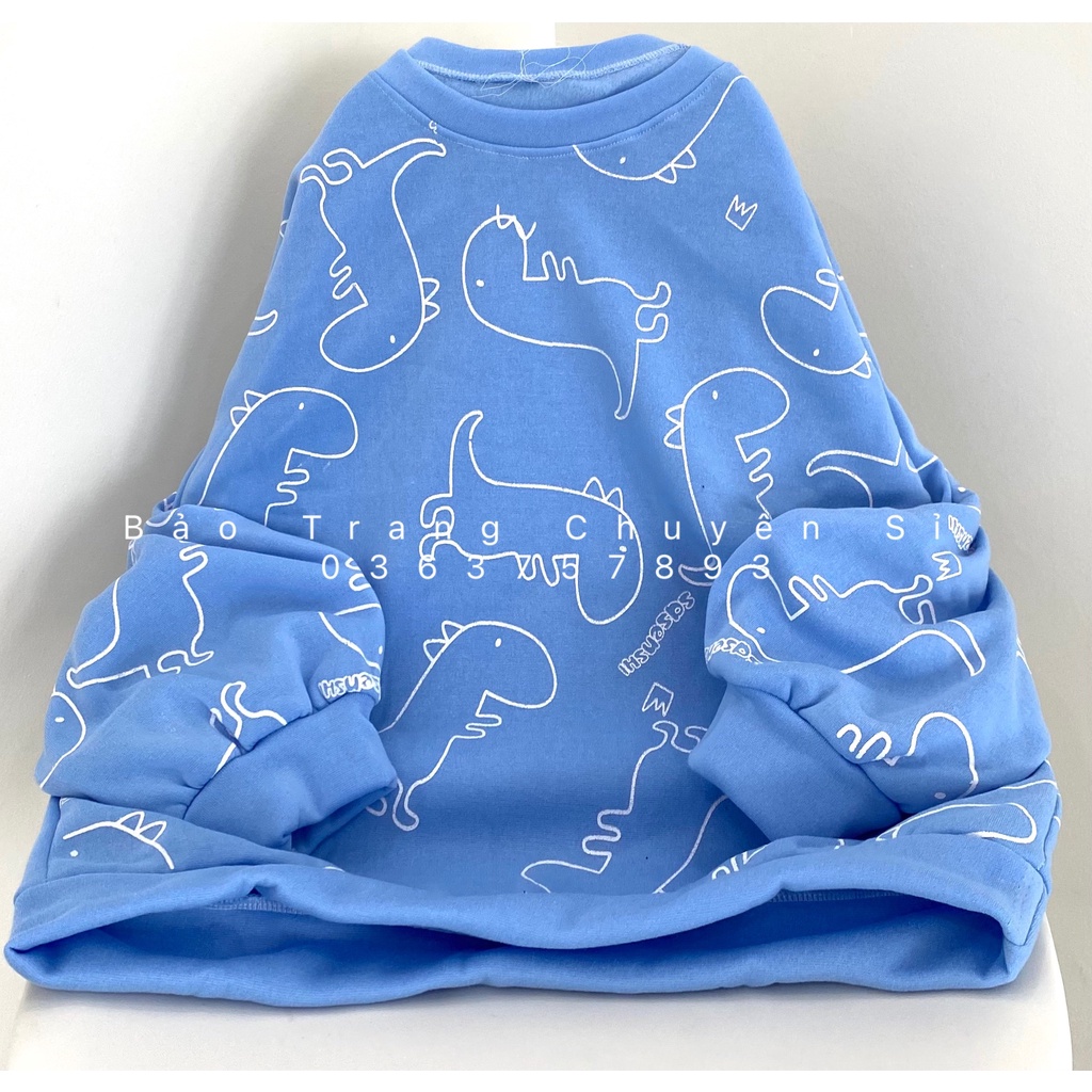 Áo Nỉ Sweater Nỉ Ngoại Khủng Long Unisex Nam Nữ Phong Cách Ulzzang