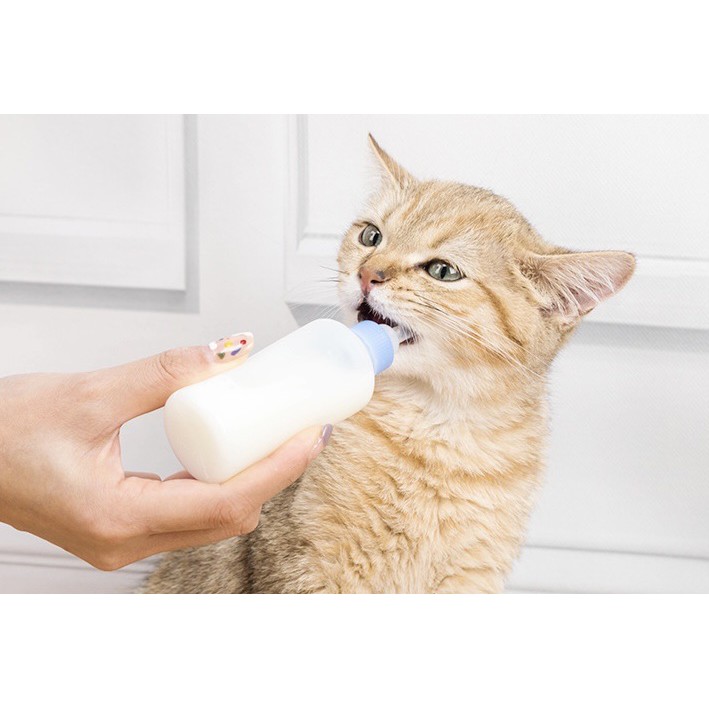 [Mã PET50K giảm Giảm 10% - Tối đa 50K đơn từ 250K] Sữa Cho Chó Mèo Bio Milk 100gr - Sữa Cao Cấp Dành Cho Thú Cưng