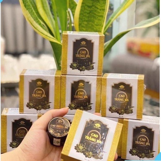 Cao Trắng Bạch Linh, Bách Y Sâm, Nhất Mộc Hương 10g