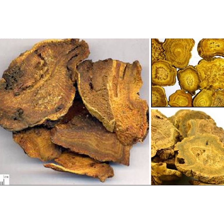 Đại hoàng khô thượng hạng JINDO 1kg tác dụng thanh tràng, thông tiện, trục ứ thông kinh