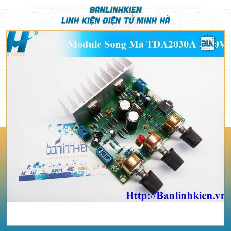 Mô đun Module Song Mã TDA2030A 2x30W